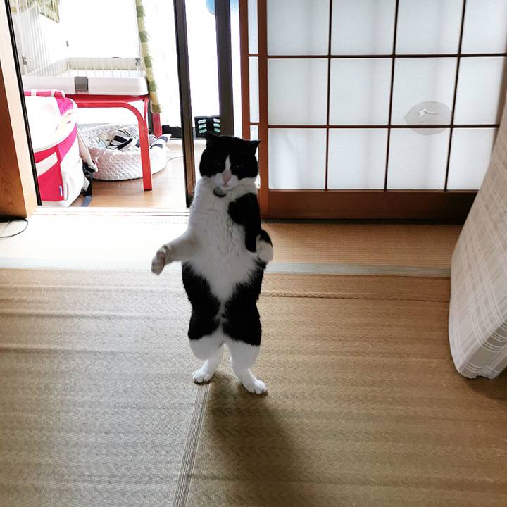 831d2e17 2cb4 4410 9305 52cbb70898b8 1650859960388