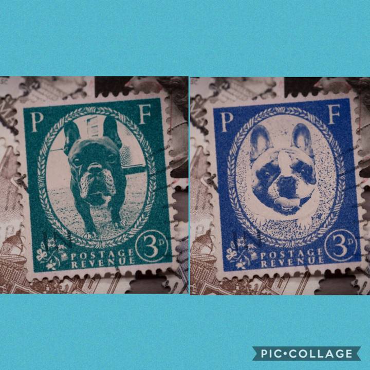 831d3f12 049b 44f8 ad6b 09a17fa1b5de 1569839427053