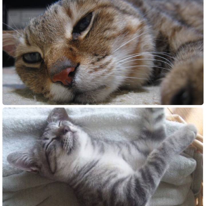 831d7569 5a6f 4d0a b215 77e2c734884f 1556929539645