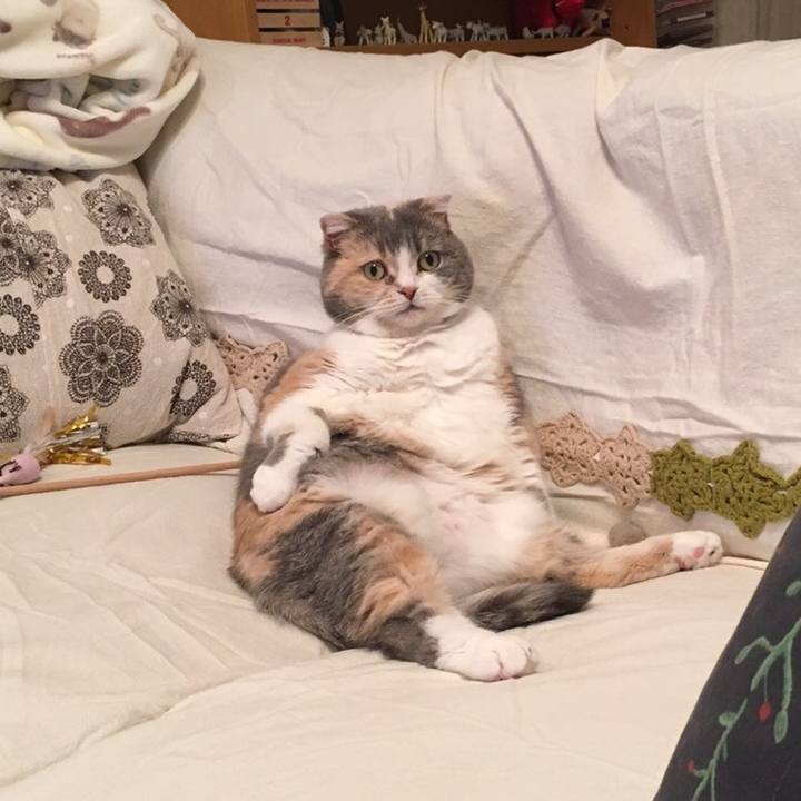 831d82f3 3abd 4672 854c 8eb39a8e6bcb 1557313027527