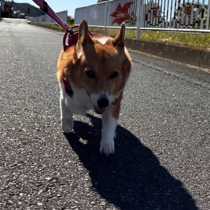 831deba8 9a54 489f bc67 9d1237b9aa7b 1730949531132