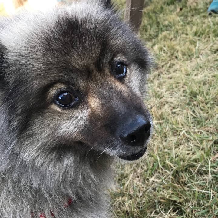 831df0ec ad21 4b56 9301 1c81dce4398e 1573644930533