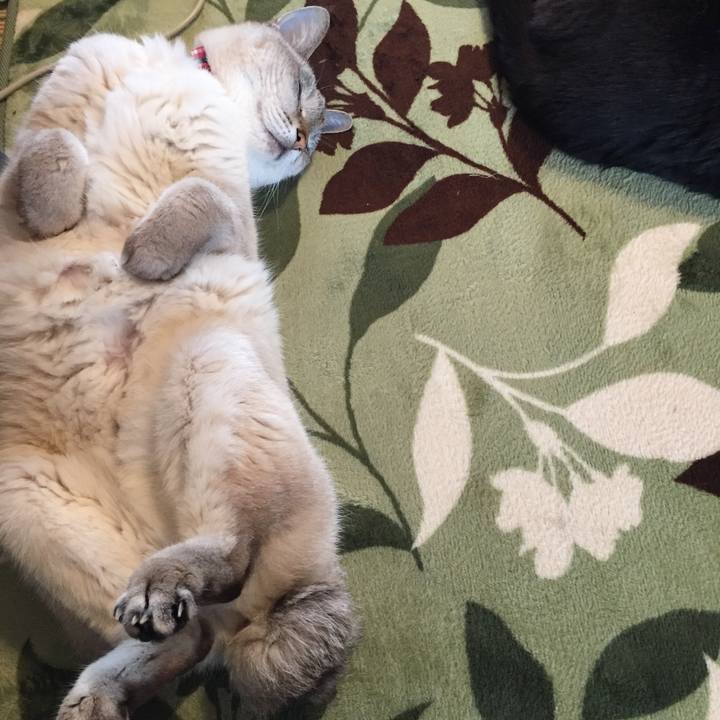 831e5925 6446 4021 89c8 0ea0e2d87cef 1589146825935