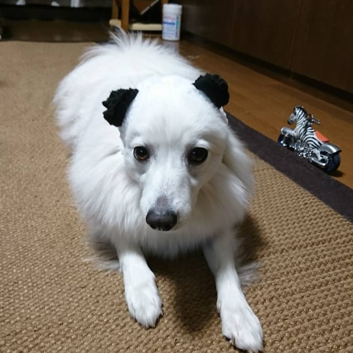 831e955a ec5f 48df ae17 0d3ee8dafd0b 1514719300597