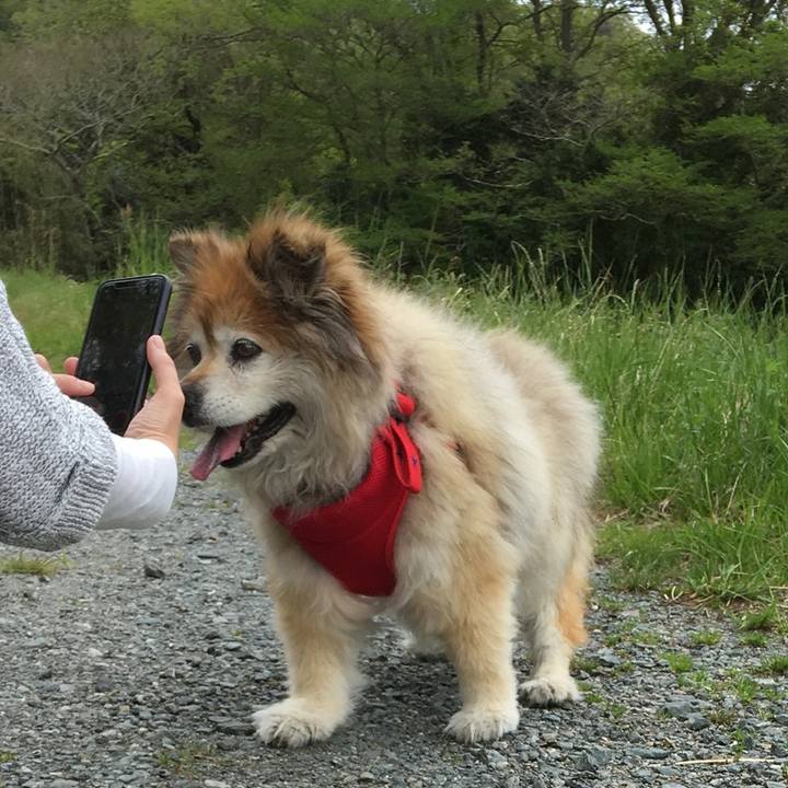 831e9edd 978e 4e14 944f 57b5f44a0c70 1569178224079