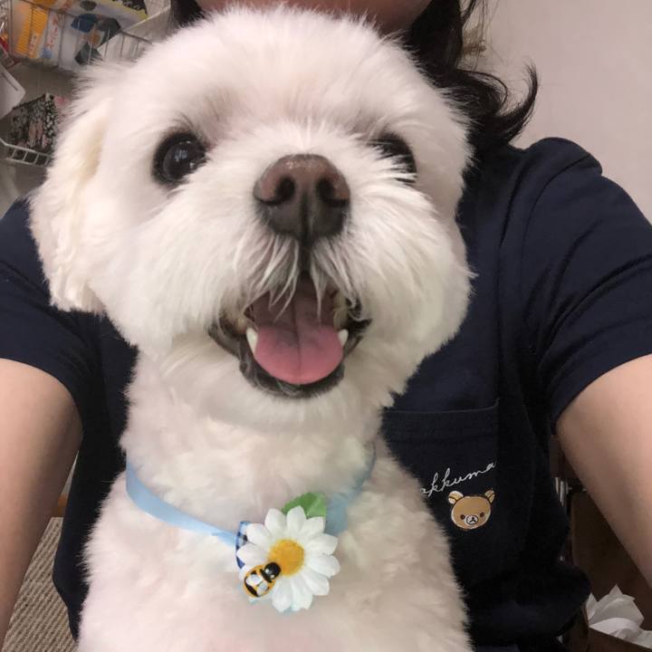 831ead83 d1ed 425e a5b5 aeb61ffc4374 1546954965629