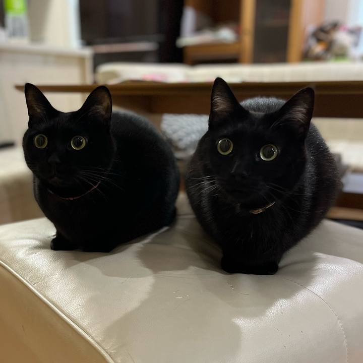 831ebb23 0cc3 4897 a5fc fb6debdb32bb 1673617157216