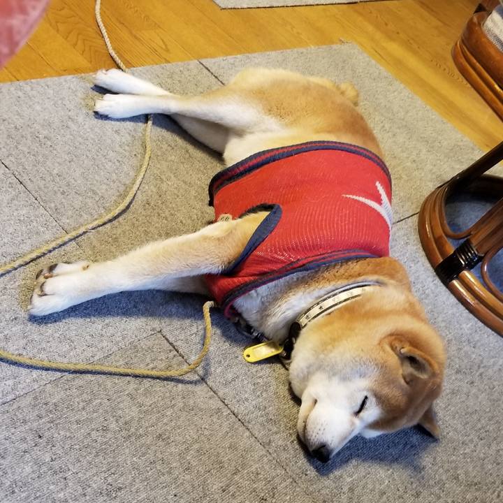 831ed5c6 d240 4127 9621 2d07e4a3728c 1609286183219