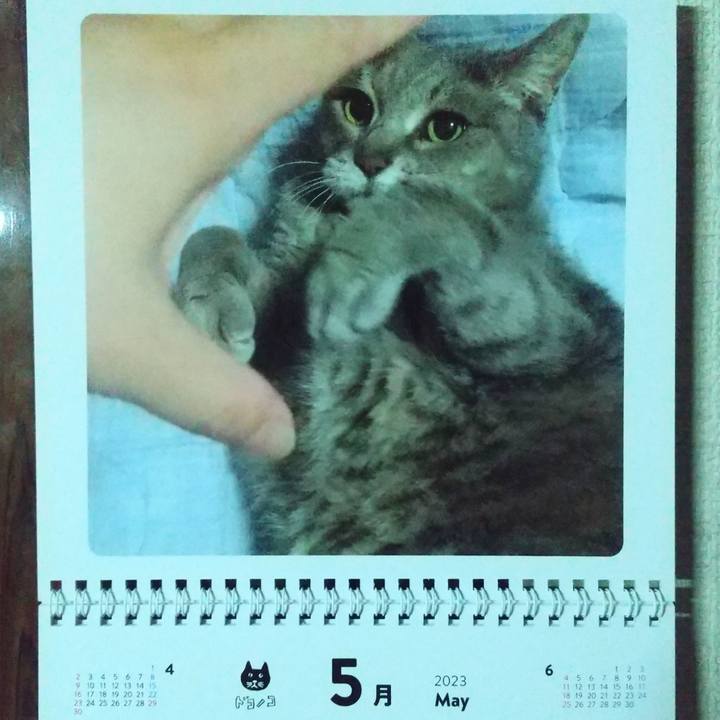 831edabc 6fec 4f02 b1a1 753e11d95136 1682892836345