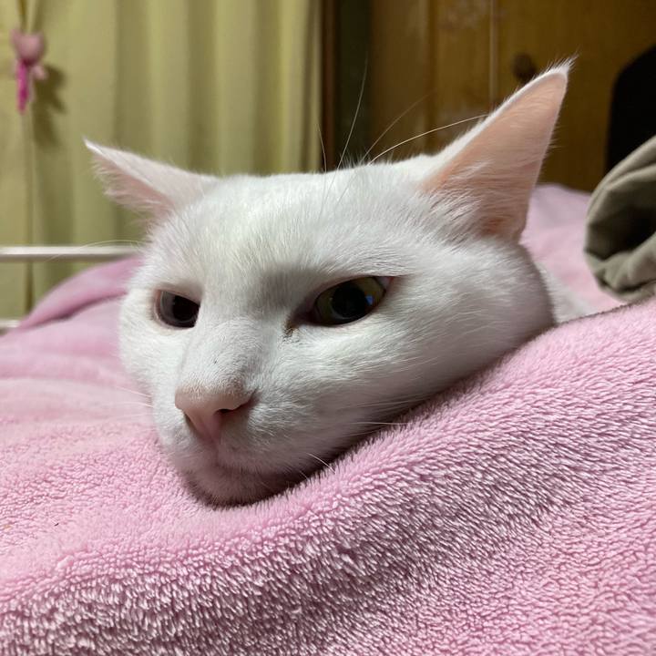 831ef2aa d8cc 4ceb a344 a22447a84049 1764542667557