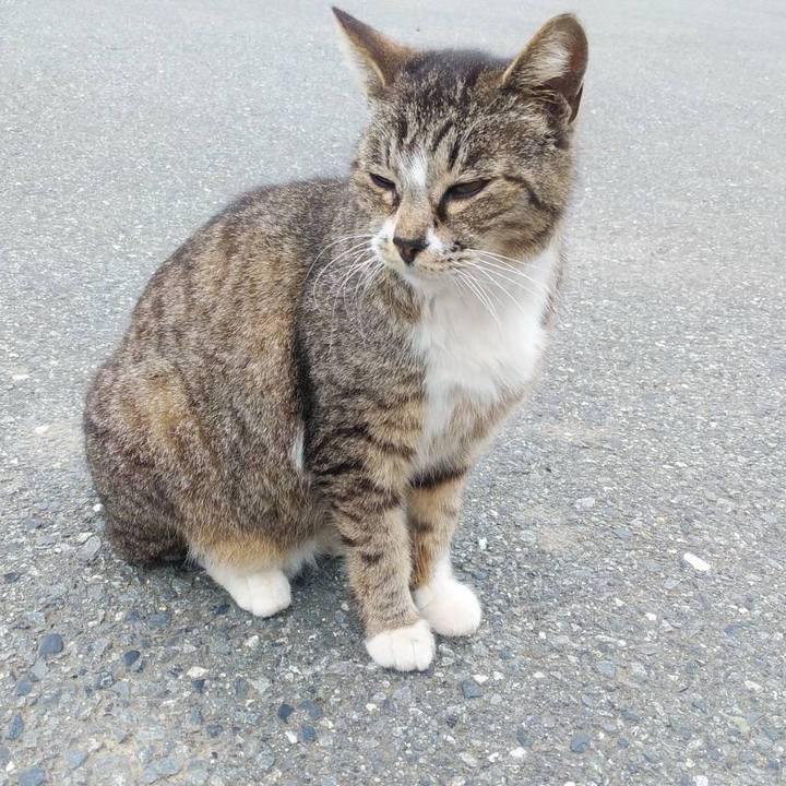 831f00e0 f32b 4bf2 8d57 09541b1eac1f 1589763487915