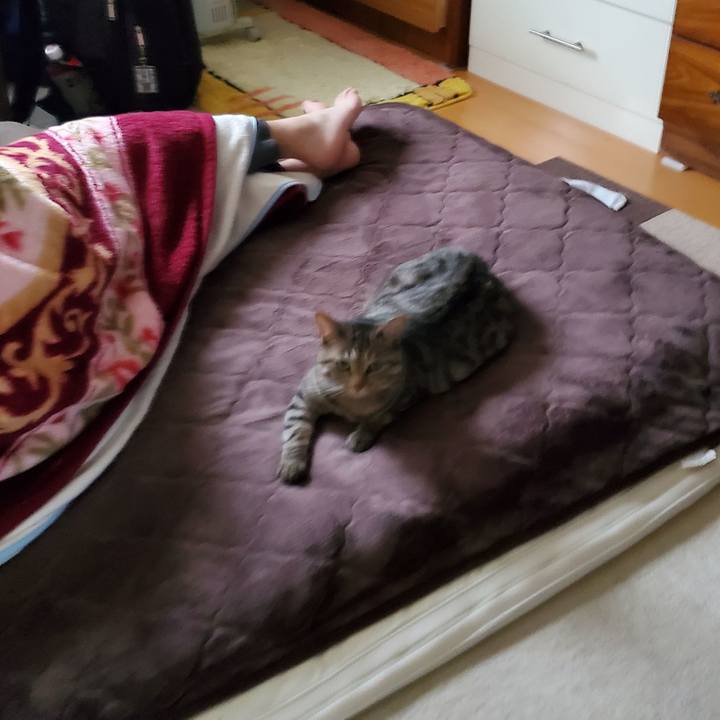 831f2d1f 7d9e 4b53 8eee 46b794caaac9 1722581134256