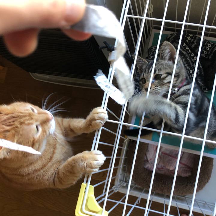 831f726d 867d 44fe 9a24 378cbbdc1374 1728795079193