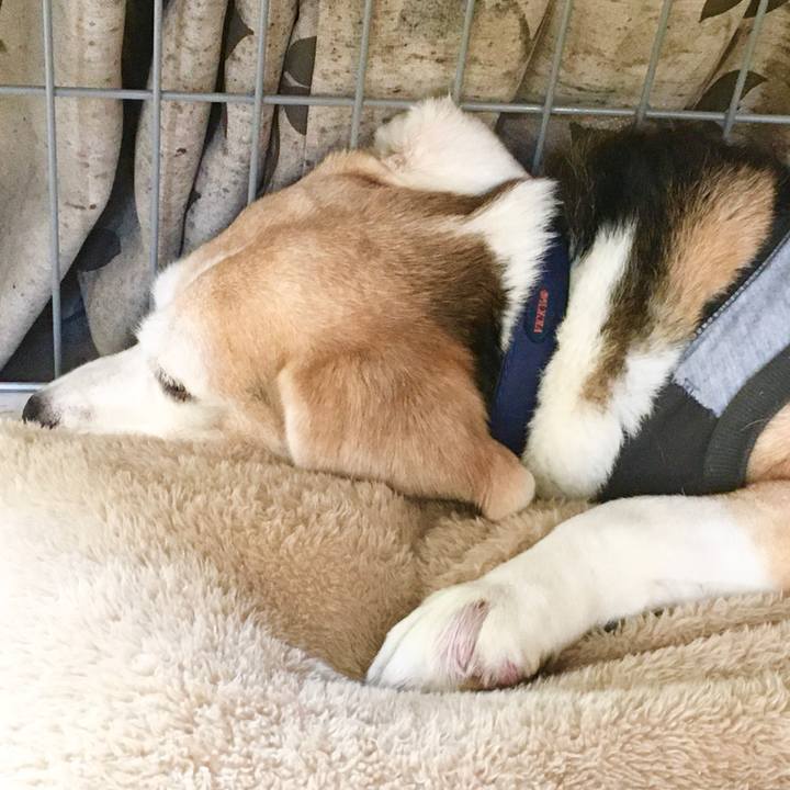 831fa4fe bcc9 4b2a 967c 348dbc525f0c 1573529672637