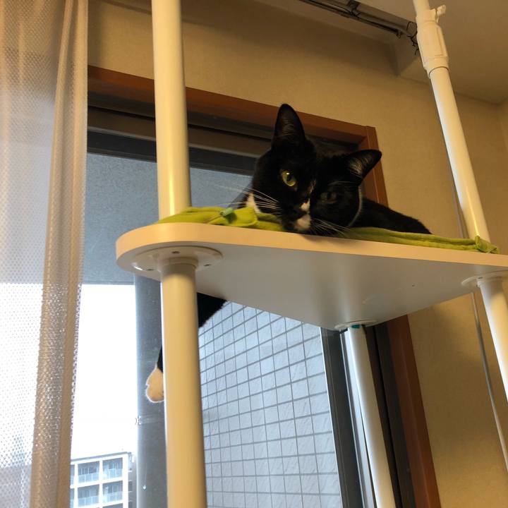 831fb3a8 f2fe 4f81 9c4c 35b39a40cf3b 1542837491000