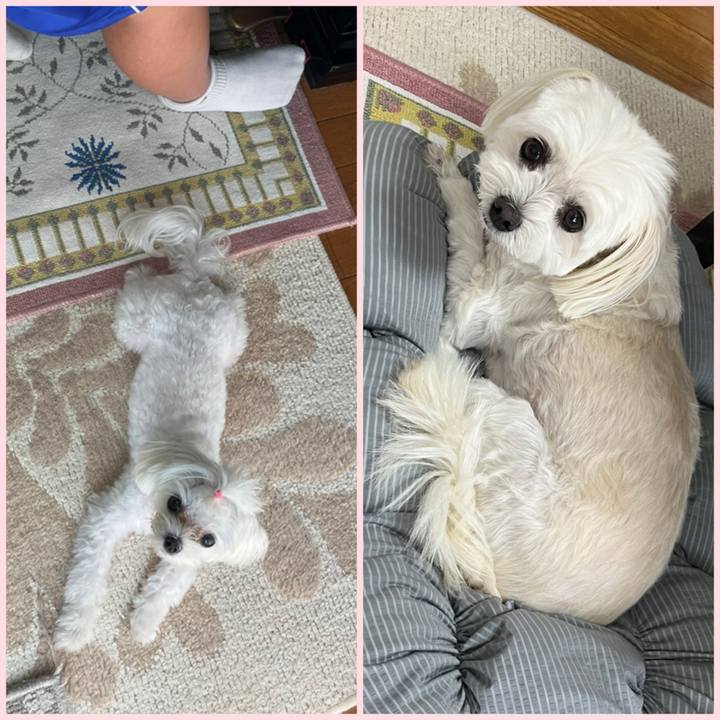 83201b20 97de 4c47 9be1 611d672b449e 1727860854760