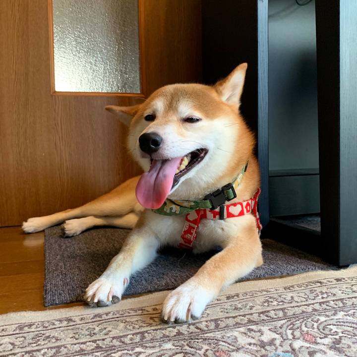 83201c38 20e3 452b b518 8cca8a245f58 1567680903408