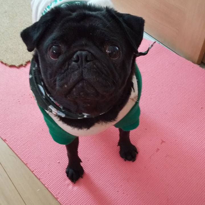 83205e48 1d53 40bc abd2 16dafd9d9f49 1609468578610