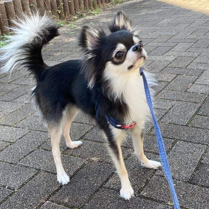 83206ef2 c9a0 461e aa32 d7d6d55ef3e4 1636861145827