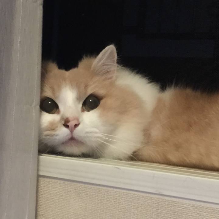 8320765d 65d3 4a13 bf09 f67cc586b8bd 1533218425440