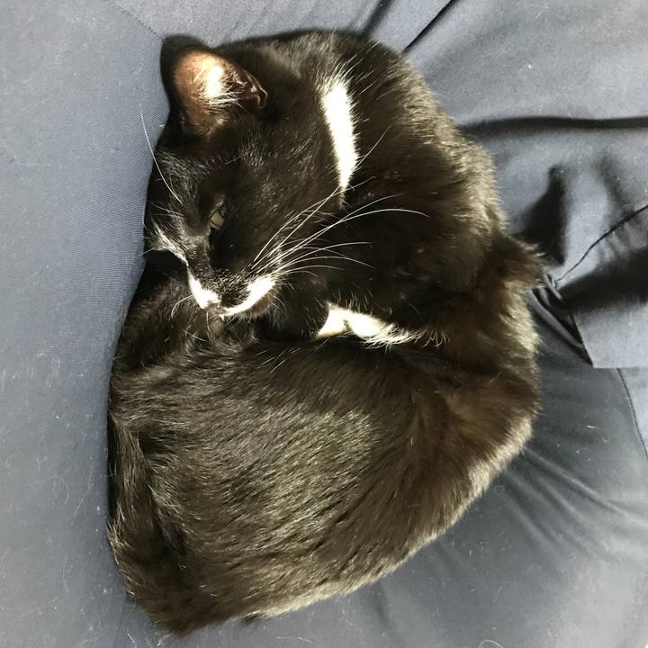 83208371 4b05 48fb b187 58f2acf34a8c 1676431989490