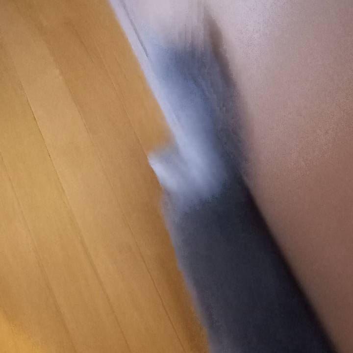 83209895 21f0 4cb4 9ca6 3b915ade0a84 1665369465861