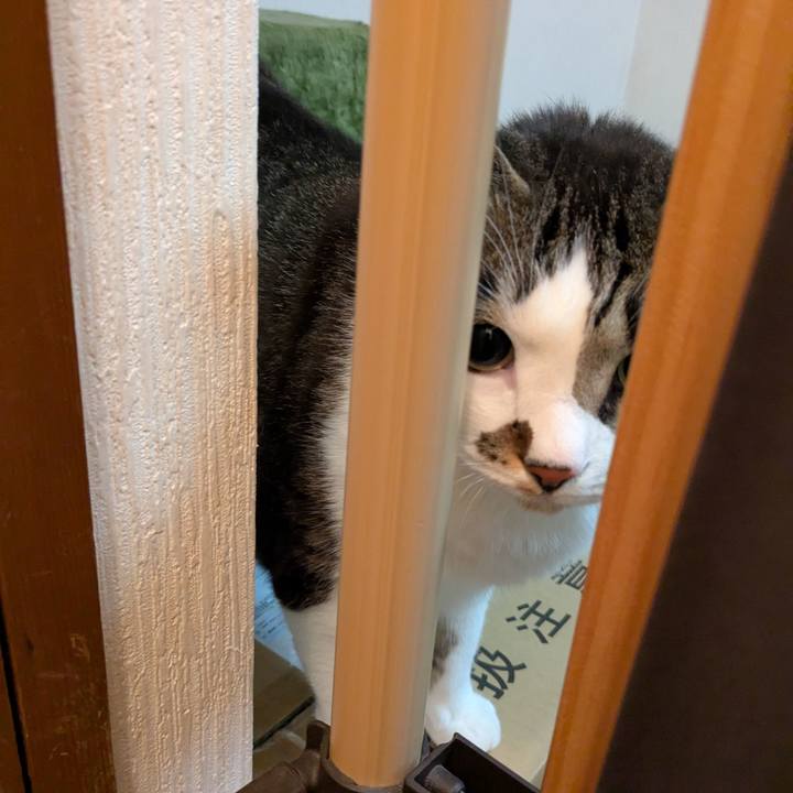 8320b792 b9ff 4b50 9264 b2abd85d4187 1742940871190