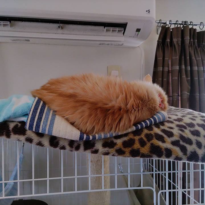 8320be62 287f 4518 9695 af4be520b402 1668415141118