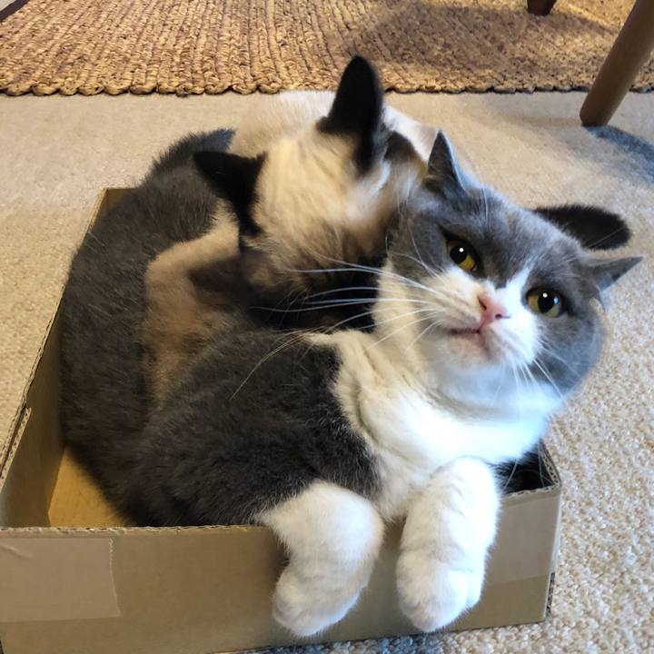 8320c1cf f062 4b9e ab91 e4845e11b1a2 1594028908264