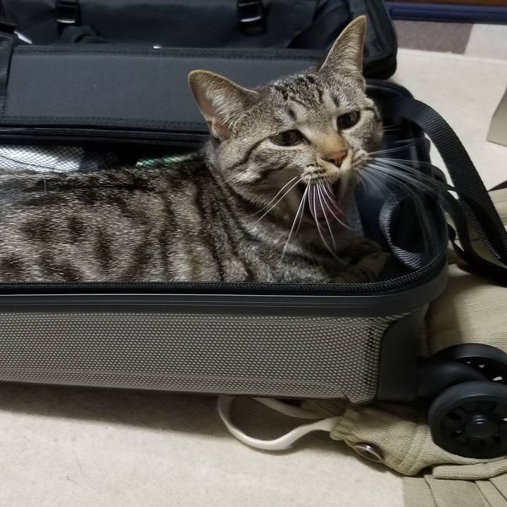 8320c2ca bc59 452f 9cff 64f145e7a264 1692537827959