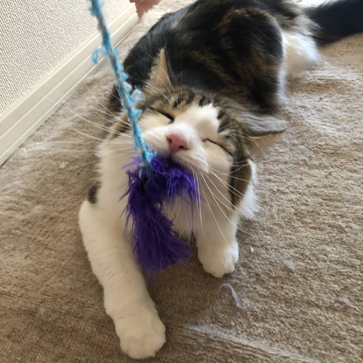 8320f127 3a1e 488a 8fd1 7621fc7f022d 1547990989442