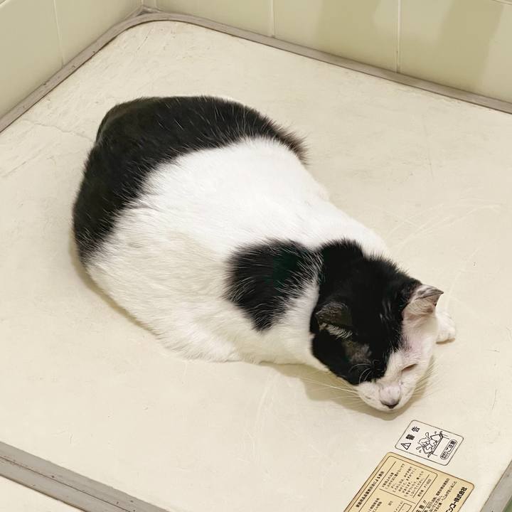 83211966 3fae 4bdf 885c a977d27fe8d5 1759359538973