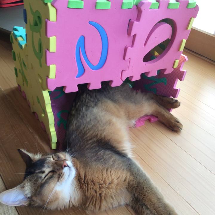 8321452e a2cb 4c56 b995 0be92364822b 1564892203147