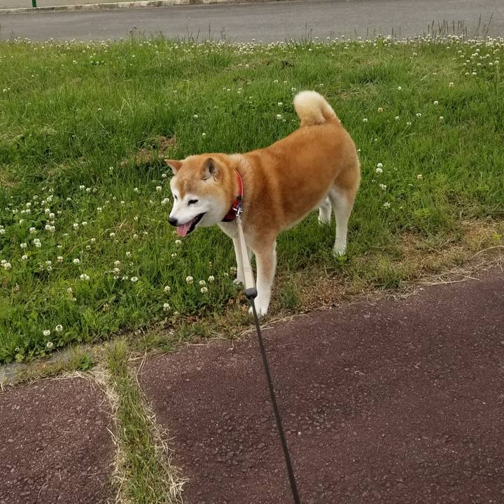 83217ced 86c3 41e2 b707 4e77ce8dba87 1717056177786