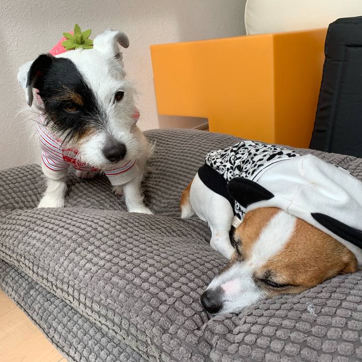 83219bfd 6251 46c8 8141 f5c9e01a2063 1553493664263