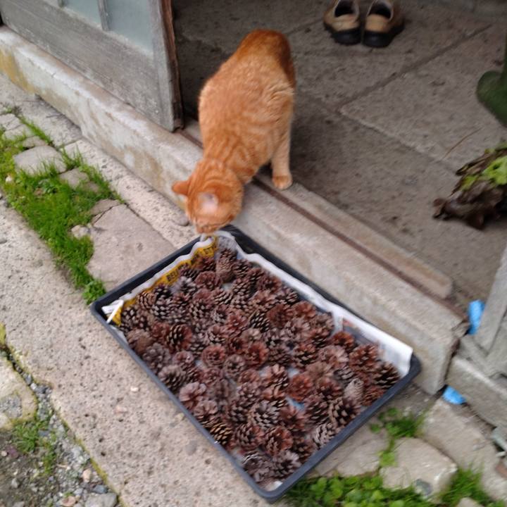 83219fdb 2280 43d9 aaac b7c105c82649 1699260759309