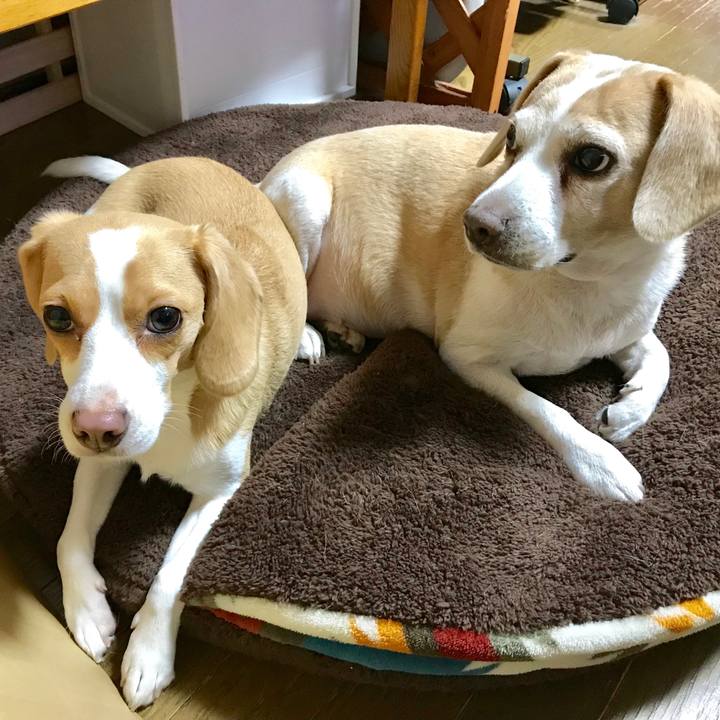 8321dff4 6476 4788 bfd3 a45a3aff2d04 1539791667777