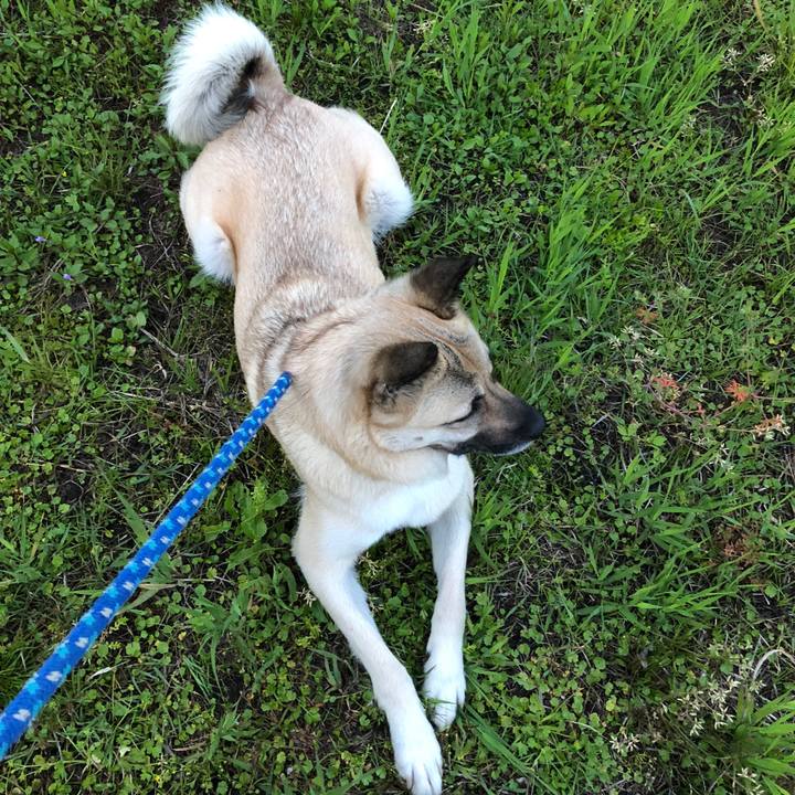 8321f61f 1761 48d6 ba56 125684d601ce 1526041004245