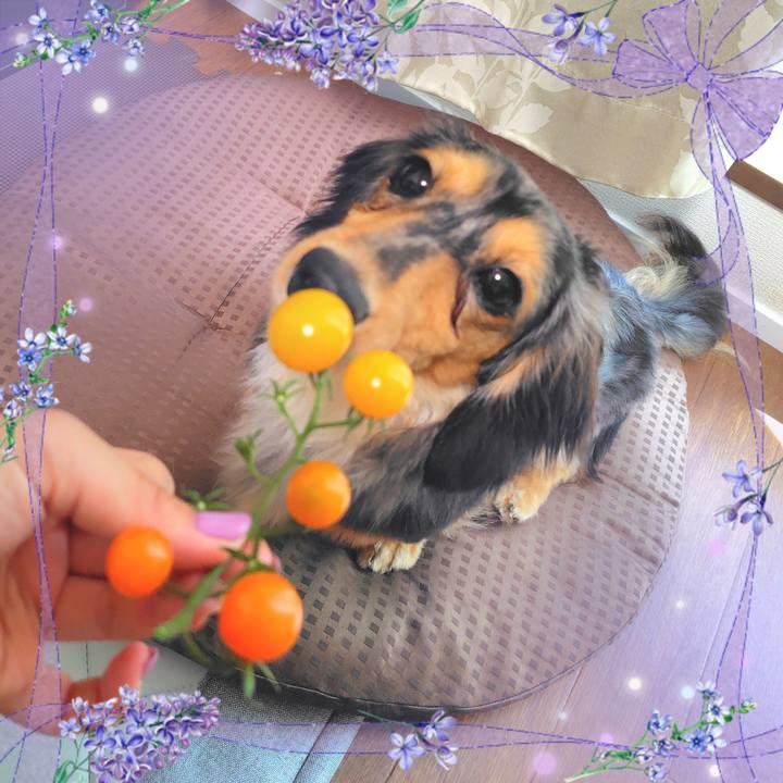 83225dc0 82b8 48be a79b 9632cef22c22 1750415464319