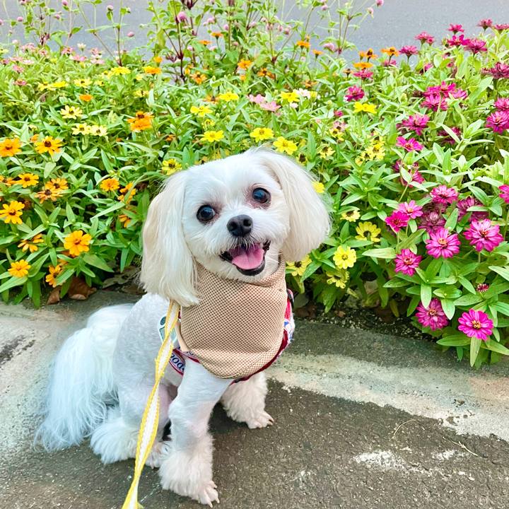 83226049 b97a 48e0 82be ae8fa9310888 1630466882314