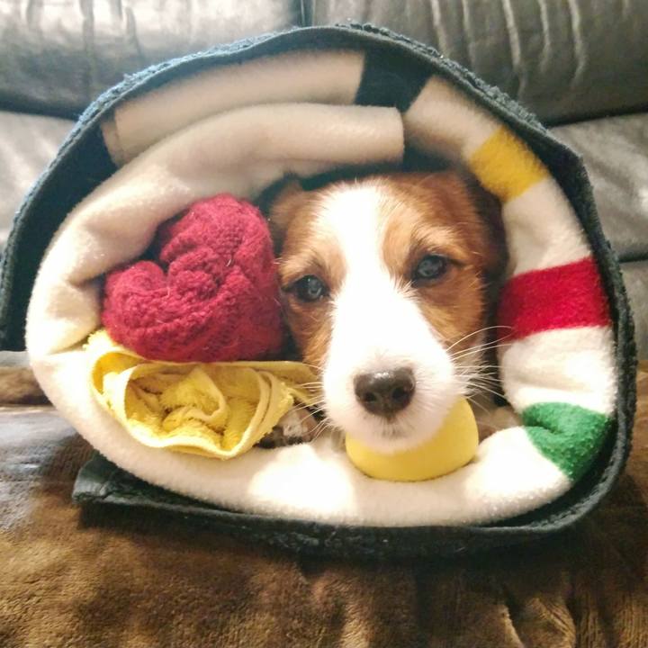 83228786 2b92 4719 a1be cbfc8dca9e30 1517657002991