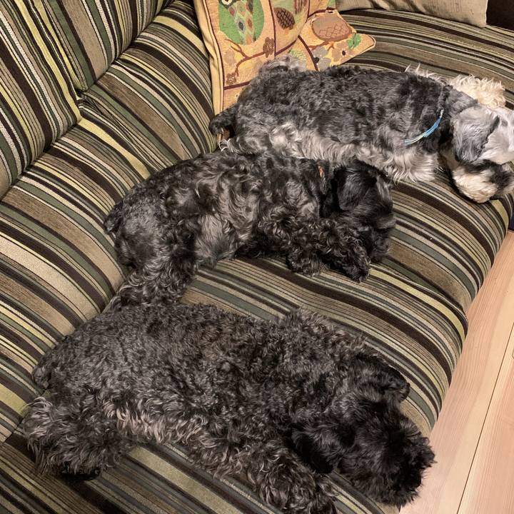 8322d64d b0ba 4228 bb5a 6e58aee87a32 1594098497385