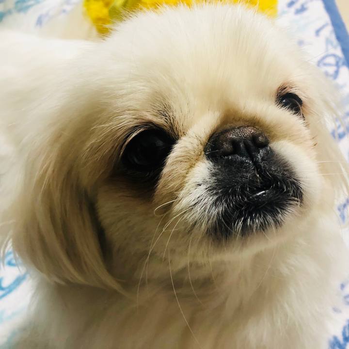 8323665e b5ae 4c9a adfd eec97f2f7eda 1588680389181