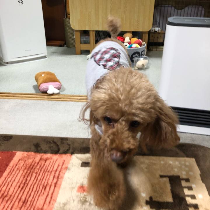 83237323 74fb 4f42 9a24 69526e2b7f3f 1585128002884