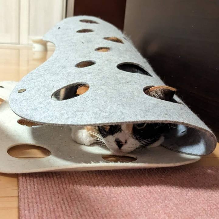 83239ae1 7288 43ac 9c71 b28ca263e8a2 1698899390234