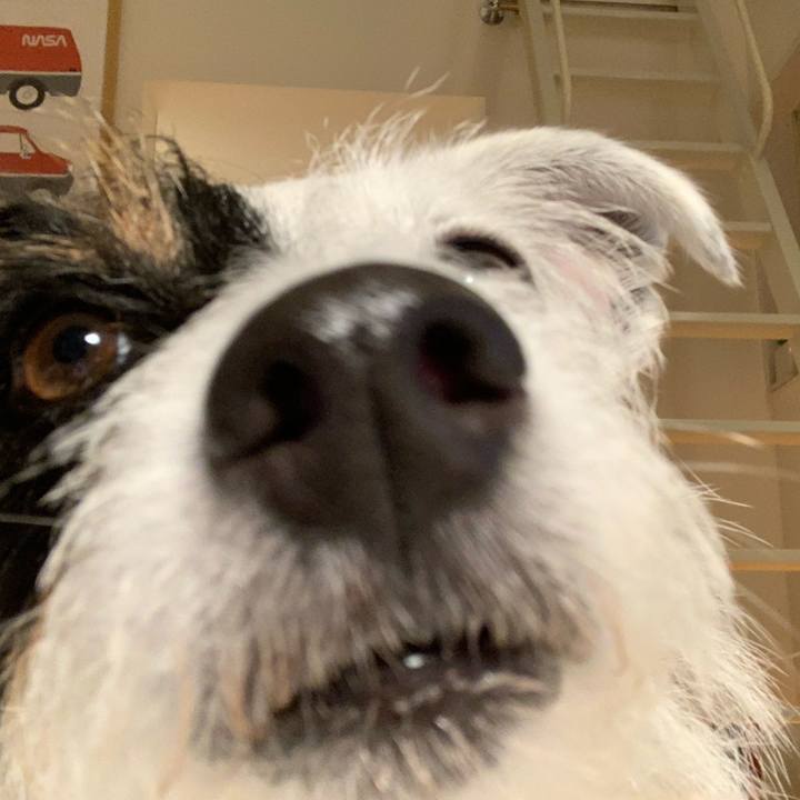 8323bc33 83d9 4a00 9f14 a980afbc5b4a 1592307973292