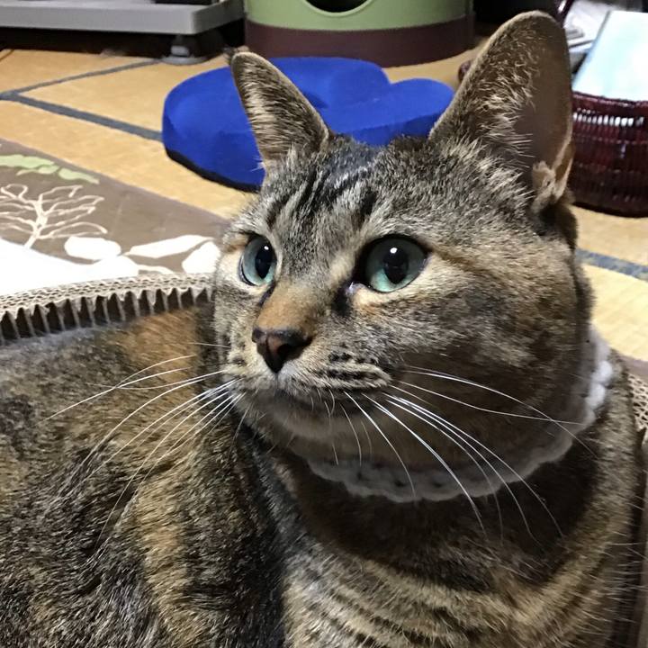 8323c354 0362 4e6b a2db ddf7b80bcc2f 1743235911208