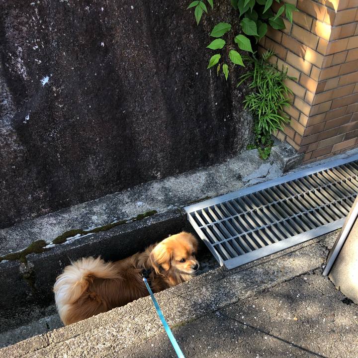 8323d558 aa11 4422 9c7a 9eb934a3985b 1557621539919