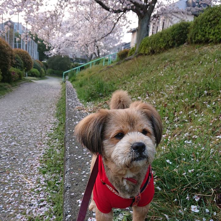 8323de41 79ab 435a 9045 c57975c5766f 1554630317064