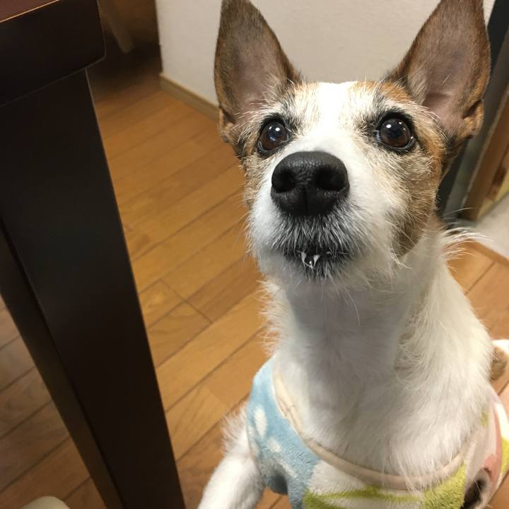 8323f2ec 2b20 48e6 b226 9fd32e642fe5 1587338200802